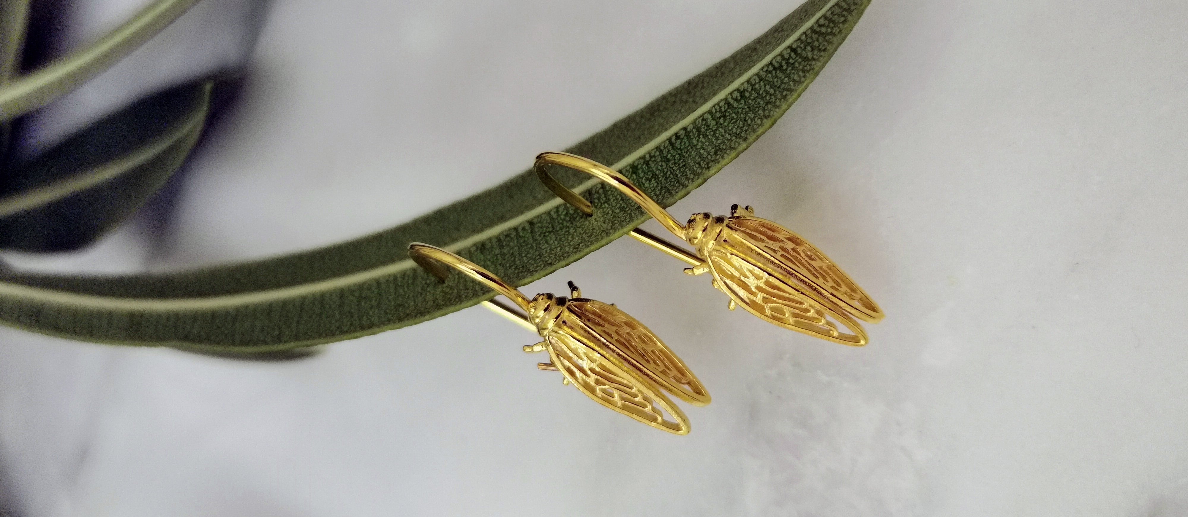 Cicadas collection