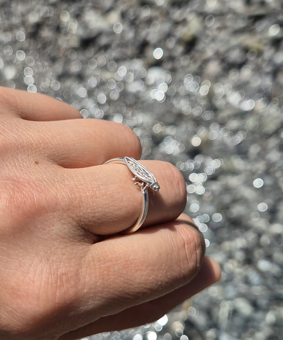 Cicada small ring