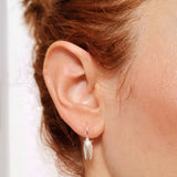 Cicada small hook earrings silver