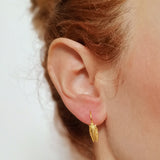 Cicada small hook earrings gold