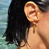 Cicada small hook earrings gold