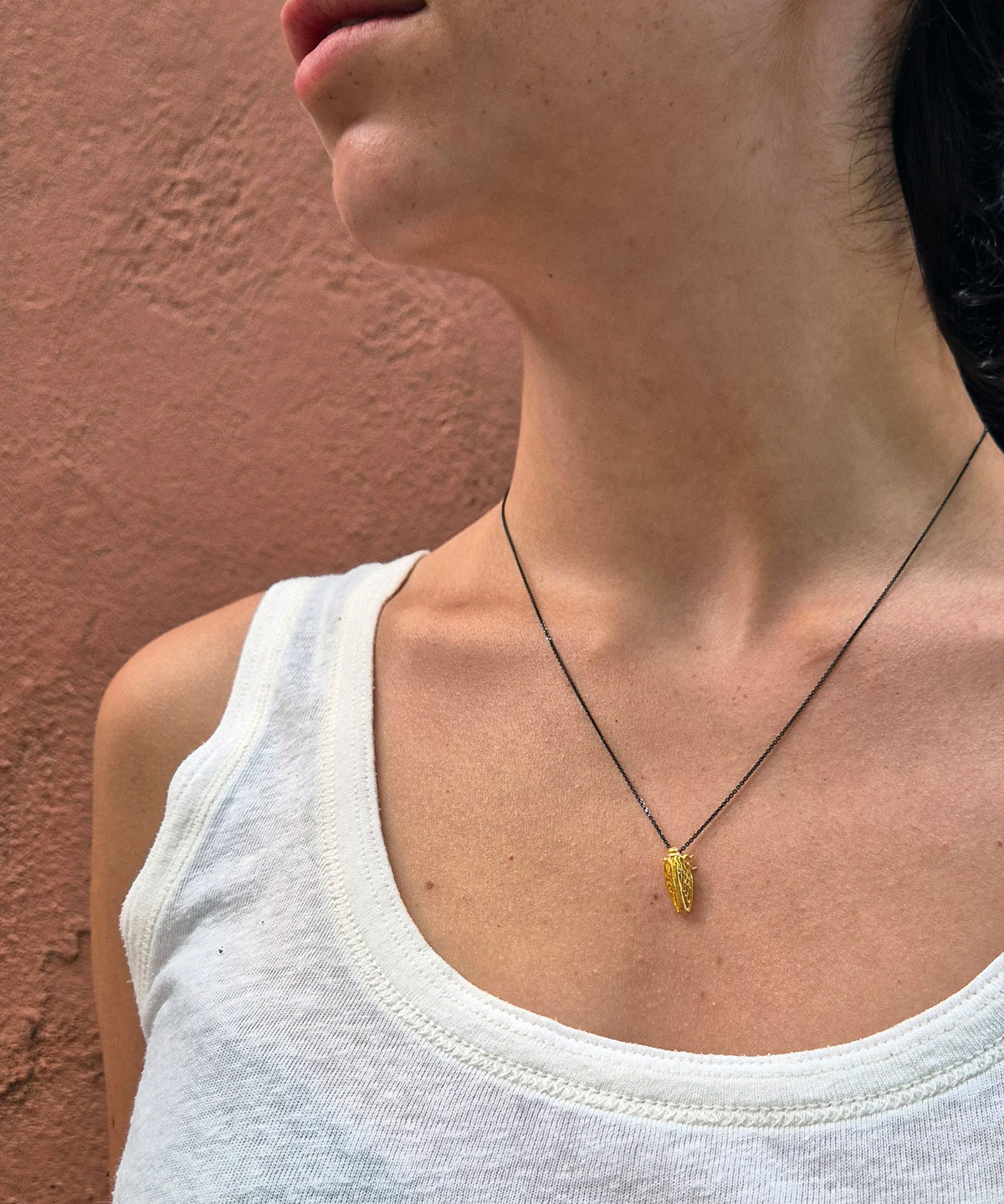 Cicada small,Τζιτζίκι– “Μη σκάς“ (2026)