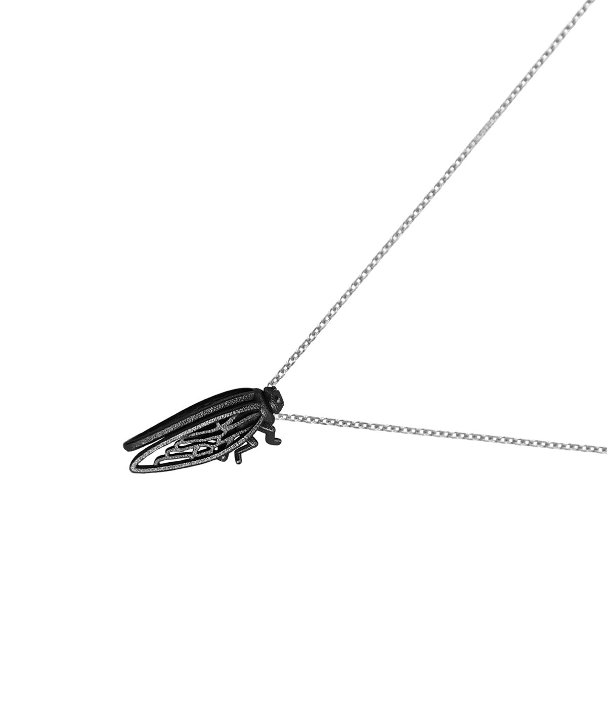 Cicada small,Τζιτζίκι– “Μη σκάς“ (2026)