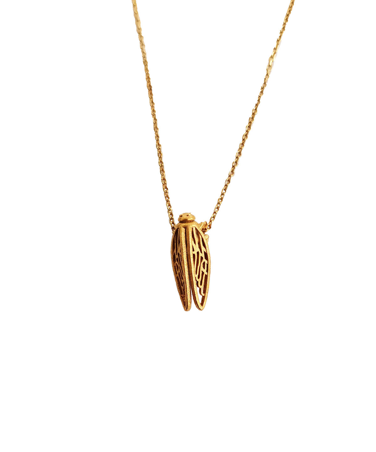 Cicada small,Τζιτζίκι– “Μη σκάς“ (2026)